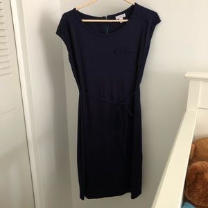 Pea in the Pod Maternity Dress